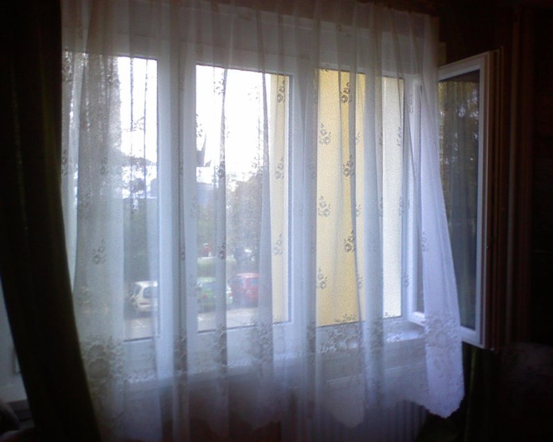 dsc00094.jpg