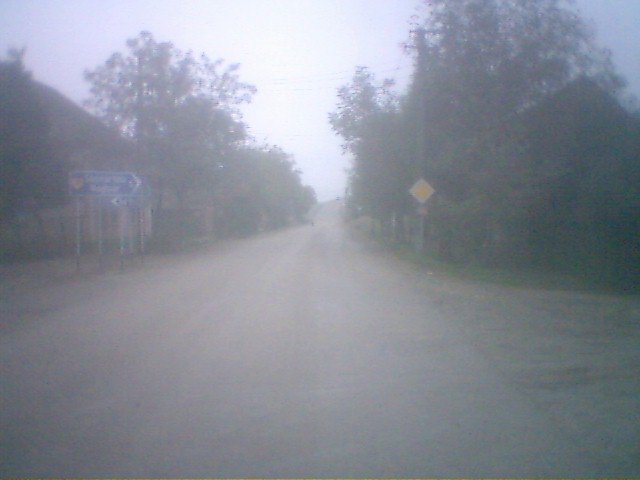 photo107.jpg