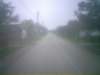 photo108_small.jpg