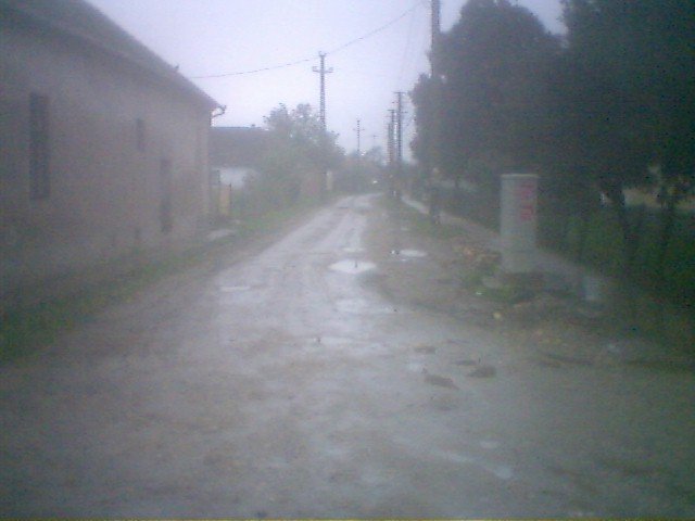 photo109.jpg
