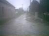 photo109_small.jpg
