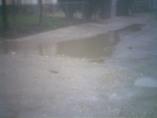 photo114.jpg