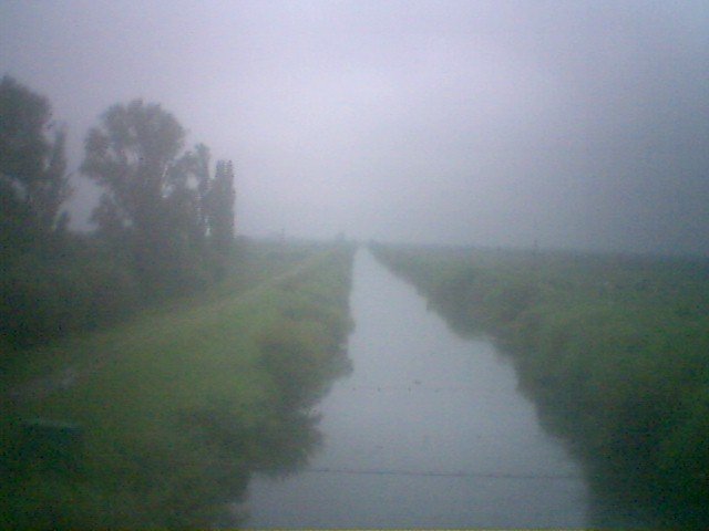 photo116.jpg