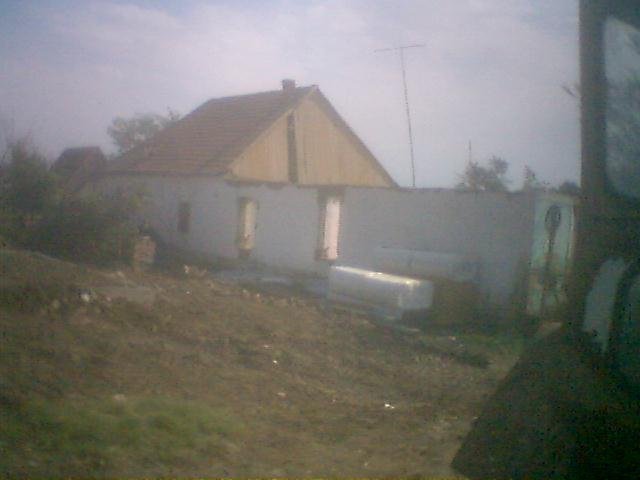 photo16.jpg
