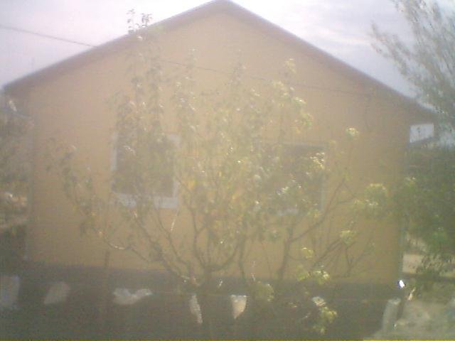 photo32.jpg