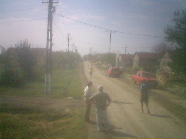 photo37.jpg