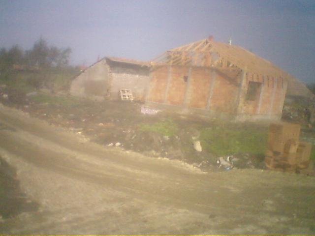 photo46.jpg
