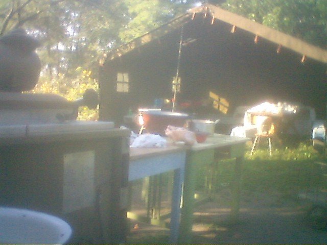 photo66.jpg
