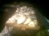 photo74_small.jpg