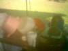 photo77_small.jpg