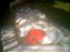 photo78_small.jpg