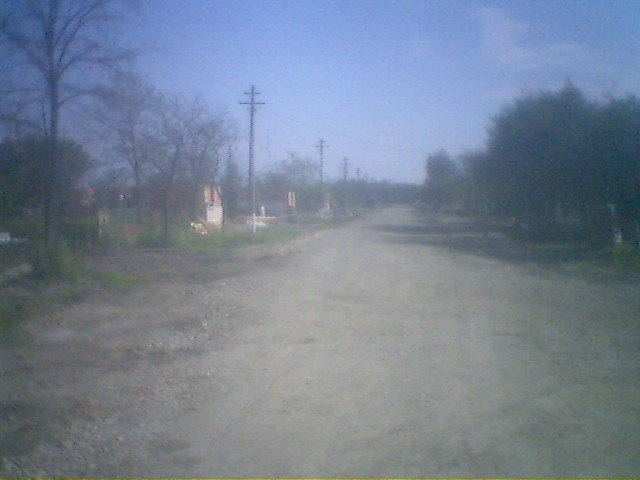 photo88.jpg