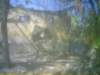 photo91_small.jpg