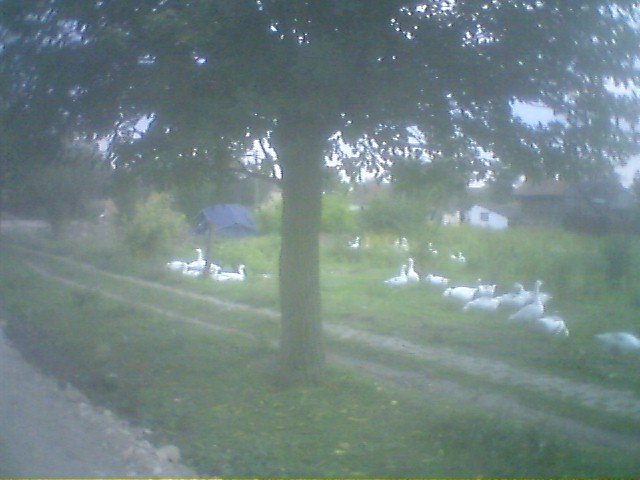 photo94.jpg