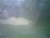 photo95_small.jpg