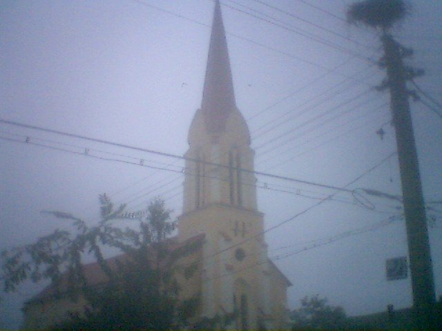 photo97.jpg