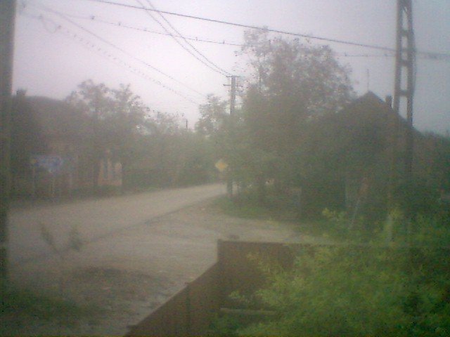 photo99.jpg