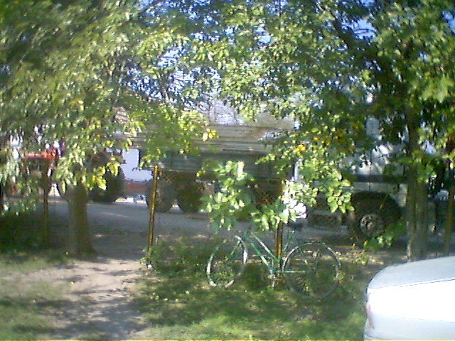 photo103.jpg