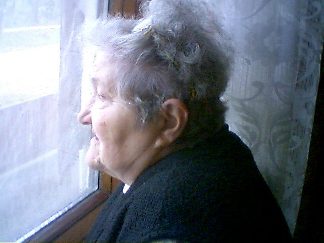photo12.jpg