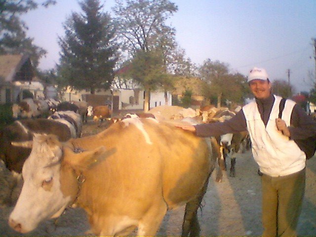 photo50.jpg