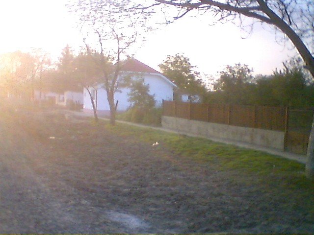 photo57.jpg