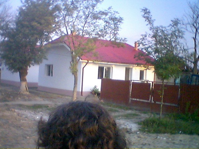 photo58.jpg