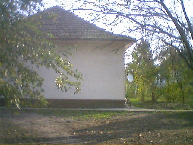 photo93.jpg