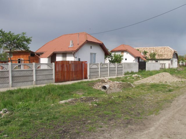p5029389.jpg