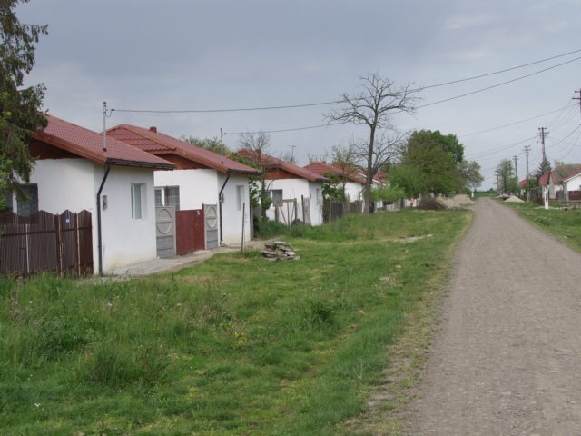 p5029392.jpg