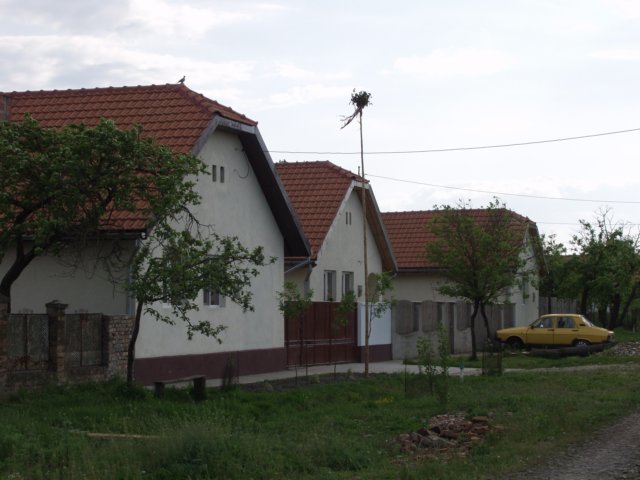 p5029406.jpg