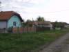 p5029407_small.jpg