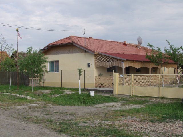 p5029408.jpg