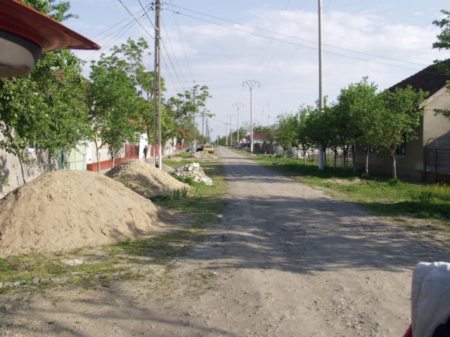 p5029410.jpg