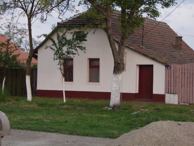 p5029429.jpg
