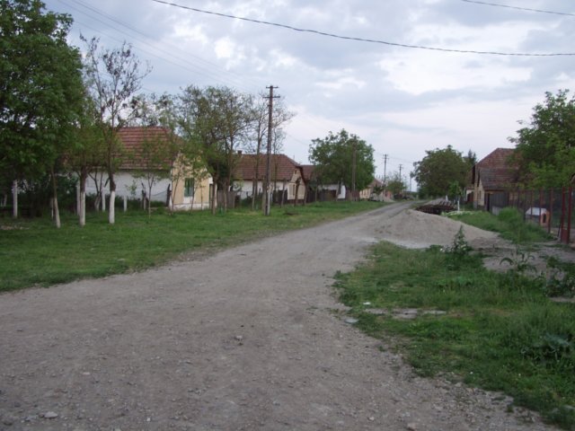 p5029430.jpg