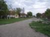 p5029430_small.jpg