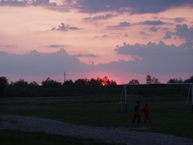 p5029434.jpg