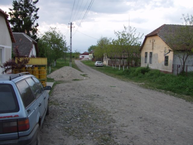 p5029435.jpg