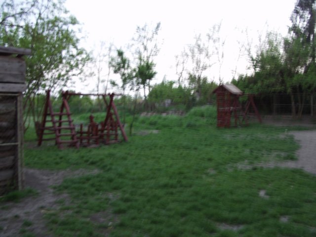 p5029440.jpg