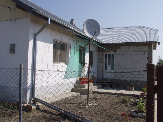 p5039447.jpg