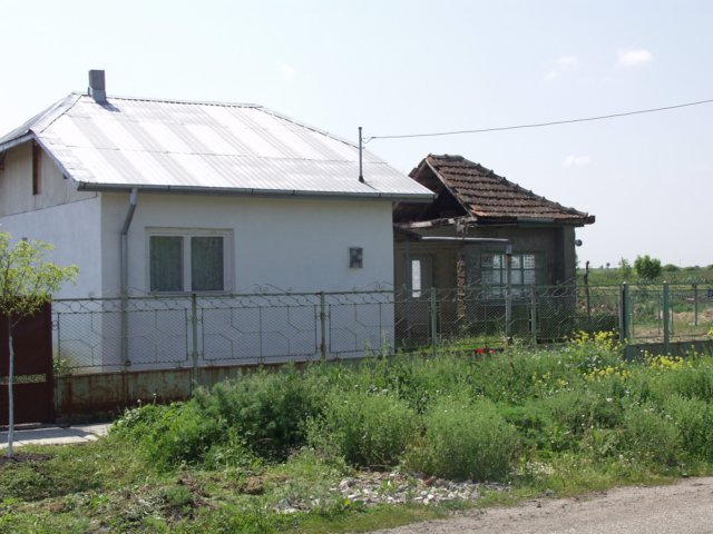 p5039457.jpg