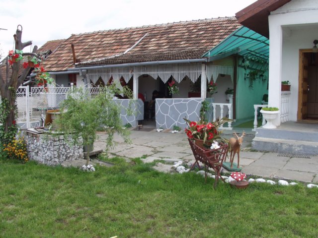 p5039467.jpg