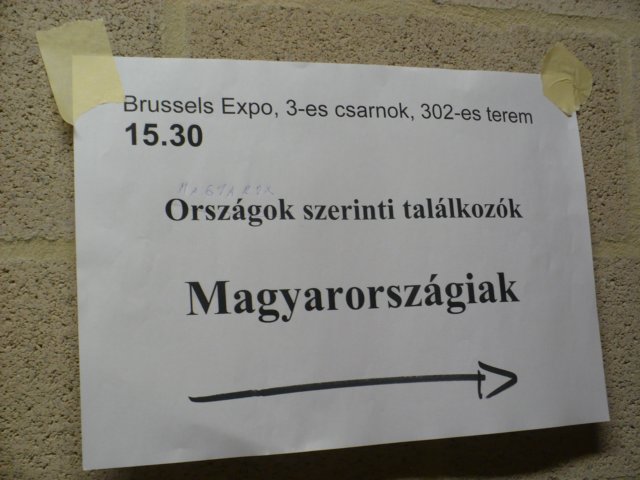 brsszel267.jpg
