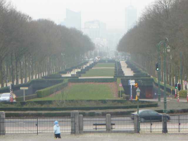 brsszel319.jpg