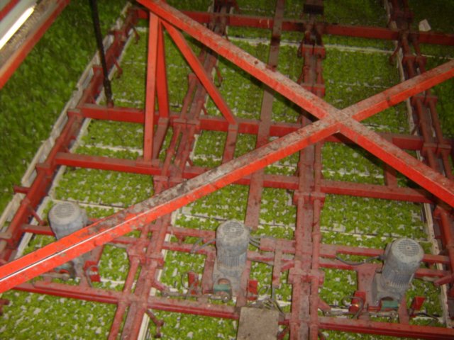 sta50167.jpg