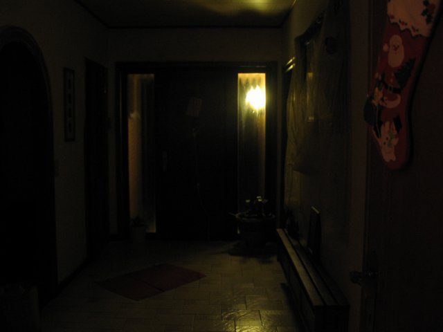 kp263.jpg