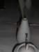 cimg1158_small.jpg