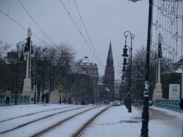 p1017050.jpg
