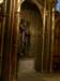 p1017086_small.jpg