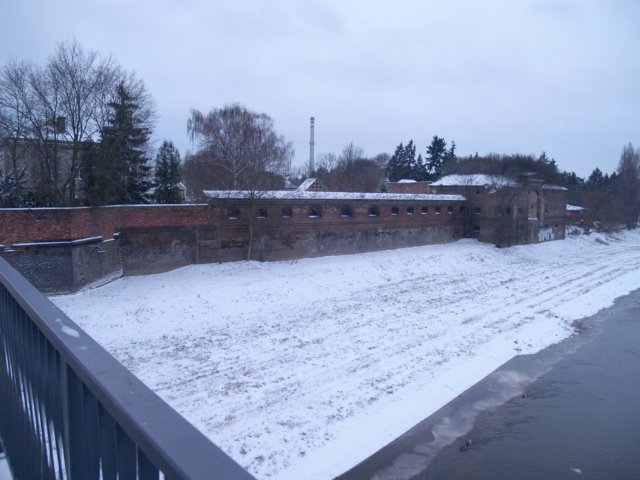 p1017102.jpg